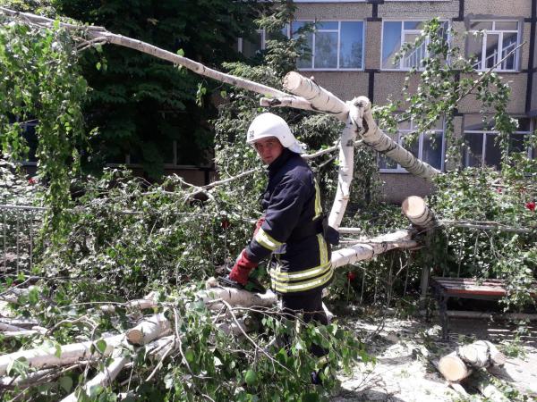 Новина Рятувальники Кіровоградської області прибрали три аварійні дерева Ранкове місто. Кропивницький