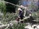 Рятувальники Кіровоградської області прибрали три аварійні дерева