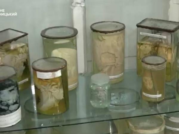 Новина У Кропивницькому в обласній лікарні хочуть створити музей анатомії людини Ранкове місто. Кропивницький