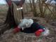 Кіровоградщина: Рятувальники дістали трьох борсуків з оглядового колодязя (ФОТО)