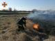 Кіровоградщина: У Голованівській ТГ сталося масове загоряння трави