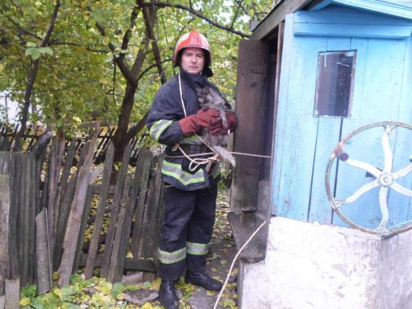 Новина У Голованівському районі рятувальники дістали кота з колодязя Ранкове місто. Кропивницький