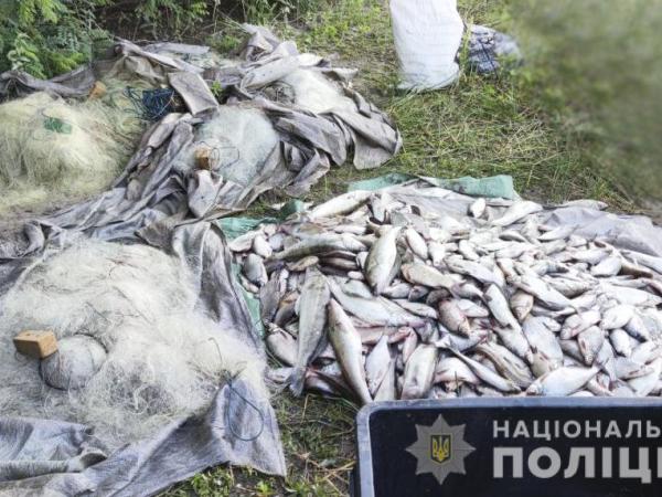 Новина На Кіровоградщині поліцейські викрили факт незаконного вилову риби на понад мільйон гривень Ранкове місто. Кропивницький