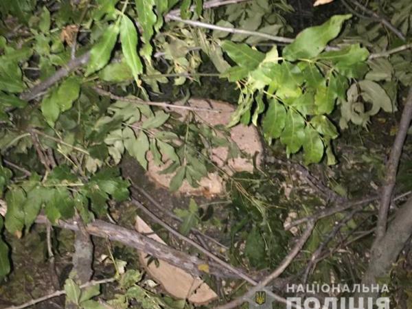 Новина На Кіровоградщині поліцейські припинили незаконну порубку деревини Ранкове місто. Кропивницький