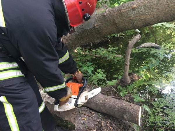 Новина У Кропивницькому рятувальники спилювали та прибирали аварійні дерева Ранкове місто. Кропивницький