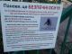 У Кропивницькому невідома особа знищила пень, у якому жили рідкісні оси