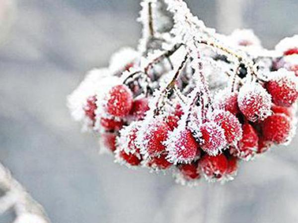 Новина Погода у Кропивницькому 16 грудня Ранкове місто. Кропивницький