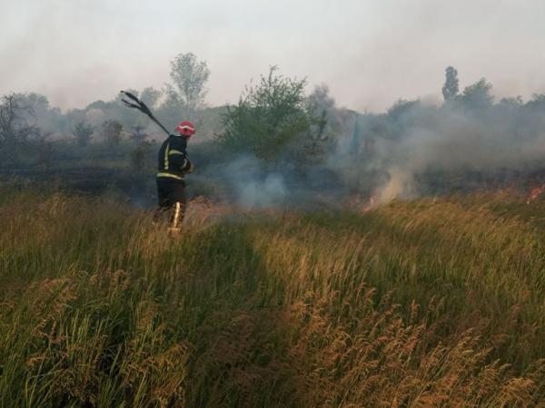 Новина Суха трава загорілася й наробила лиха по провулку Вільному у Кропивницькому Ранкове місто. Кропивницький