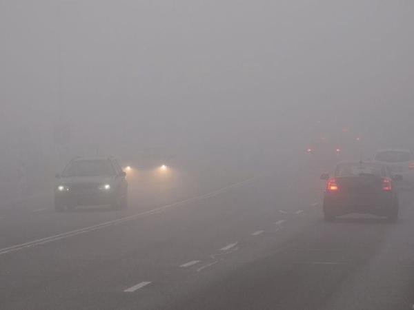 Новина Прогноз погоди на 22 січня у Кропивницькому: без опадів і з туманом Ранкове місто. Кропивницький