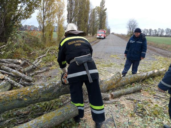 Новина У Благовіщенському районі рятувальники розпиляли та прибирали дерево з дороги Ранкове місто. Кропивницький