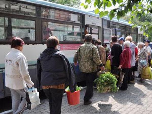 Новина Кропивницький: Якими автобусами можна доїхати до садово-огородніх товариств (ГРАФІК) Ранкове місто. Кропивницький
