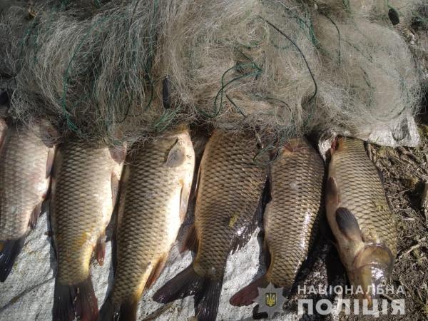 Новина Кіровоградщина: Поліція за три місяці вилучила у браконьєрів дві тонни риби Ранкове місто. Кропивницький