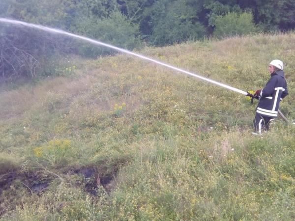 Новина Кіровоградщина: рятувальники загасили дві пожежі сухої трави Ранкове місто. Кропивницький