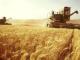 Уряд виділить мільярд гривень на підтримку фермерів