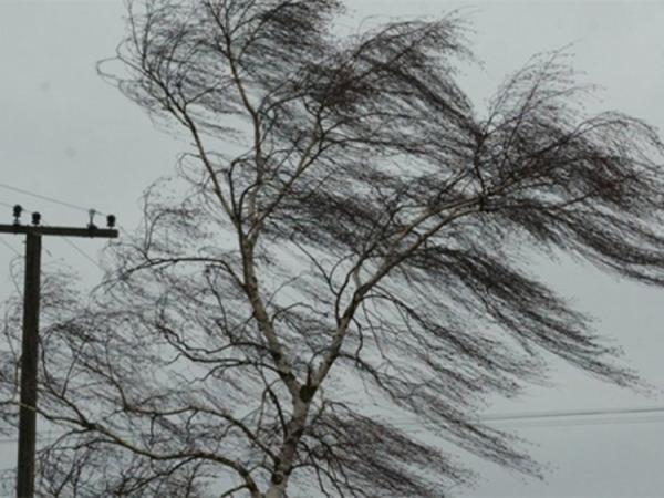 Новина Мешканців Кіровоградщини попереджають про сильний вітер Ранкове місто. Кропивницький