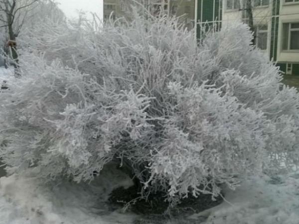 Новина Погода у Кропивницькому 17 грудня Ранкове місто. Кропивницький