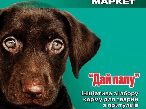 Новина Кропивницький: «Файно маркет» оголосив про ініціативу «Дай Лапу» Ранкове місто. Кропивницький