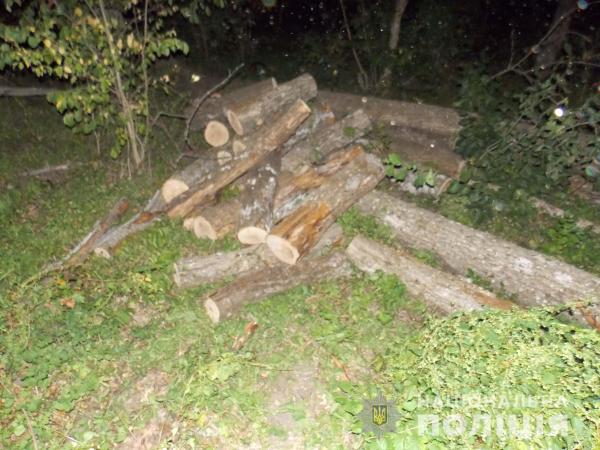 Новина На Кіровоградщині поліцейські попередили крадіжку дров у лісництві Ранкове місто. Кропивницький
