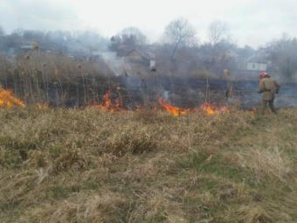 Новина На Кіровоградщині рятувальники 20 разів гасили пожежі сухостою (фото) Ранкове місто. Кропивницький