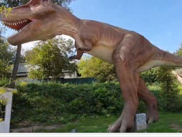 Новина У Кропивницькому відкривається «Парк динозаврів» Ранкове місто. Кропивницький