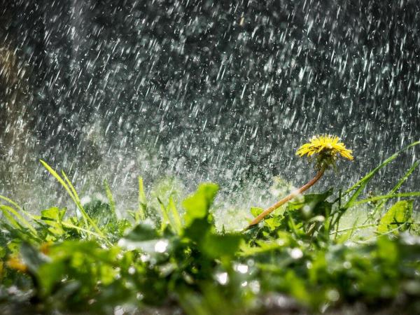 Новина 26 квітня до Кропивницького мають повернутися дощі, щоправда, ближче до вечора Ранкове місто. Кропивницький