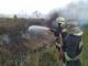 Кіровоградщина: Поблизу села Іванівка зайнявся вугільний пил