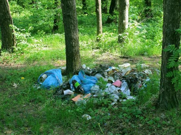 Новина Кропивницькі екоактивісти продовжують боротися з розкиданим сміттям Ранкове місто. Кропивницький