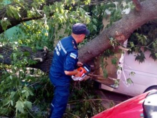 Новина На Кіровоградщині дерево впало на «Volkswagen» Ранкове місто. Кропивницький
