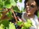 Безробітним Кіровоградщини пропонують здобути цікаву професію – «виноградар»