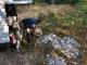 У Кропивницькому застукали на гарячому дядечка, який скидував сміття у парку (ФОТО)