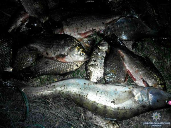 Новина На Кіровоградщині під час рейдів поліцейські вилучили три тонни риби Ранкове місто. Кропивницький