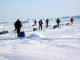 Донецкие путешественники собирают средства на экспедицию в Антарктиду