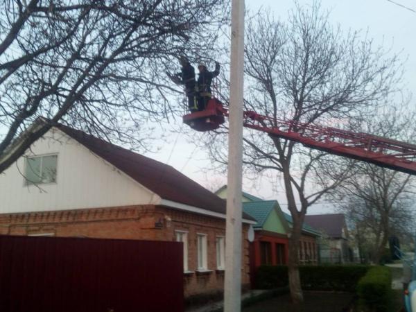 Новина Кропивницькі мчс-ники врятували будинок від аварійної гілки Ранкове місто. Кропивницький
