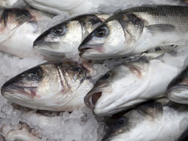 Новина Велика Британія імпортуватиме рибу в Україну Ранкове місто. Кропивницький