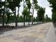 Кропивницький: У оновленому парку Перемоги встановили відеокамери