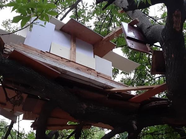 Новина Кропивницький: Підлітки спорудили хату на дереві (ФОТО) Ранкове місто. Кропивницький