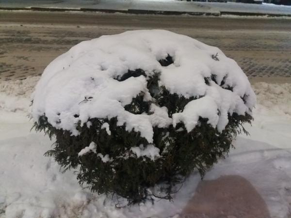 Новина Скільки випаде снігу у Кропивницькому? Ранкове місто. Кропивницький