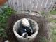 Кіровоградська область: у Знам’янці рятувальники витягли кота з 6-метрового колодязя