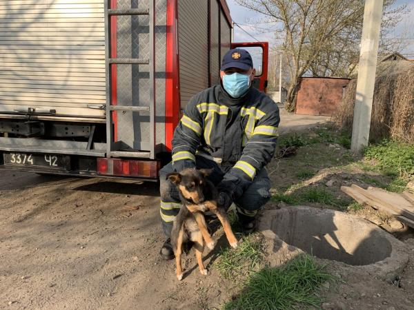 Новина Минулої доби на Кіровоградщини пожежники врятували трьох тварин (ФОТО) Ранкове місто. Кропивницький