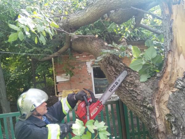 Новина У Долинській дерево впало на приватний будинок Ранкове місто. Кропивницький
