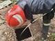 У Кропивницькому рятувальники витягнули з каналізації песика