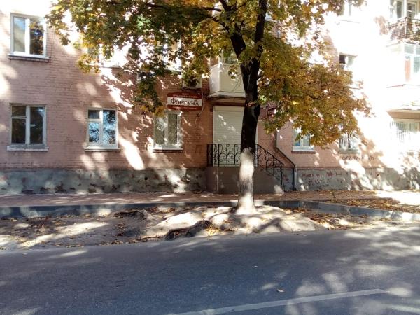 Новина У Кропивницькому чиновники вирішили пожертвувати здоровим деревом заради зупинки Ранкове місто. Кропивницький