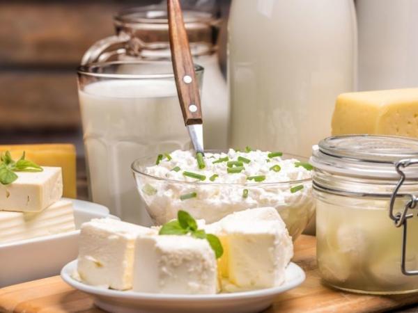 Новина Кувейт відкрив ринок для українського молока та молочних продуктів Ранкове місто. Кропивницький