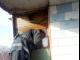 Кіровоградщина: Хвора жінка опинилася зачиненою у своїй квартирі