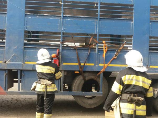 Новина На Кіровоградщині у причепі вантажного автомобіля загинув 50-річний чоловік Ранкове місто. Кропивницький