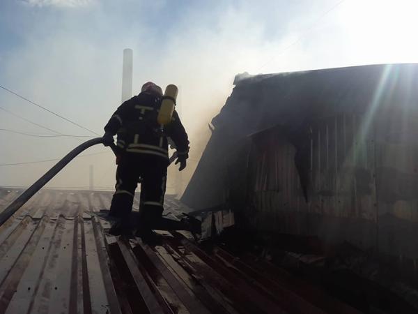 Новина Рятувальники назвали дві ймовірні причини пожежі ринку «Босфор» Ранкове місто. Кропивницький