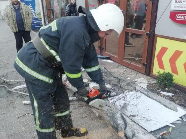 Новина Кіровоградщина: Після сильного вітру рятувальники прибирають аварійні дерева Ранкове місто. Кропивницький