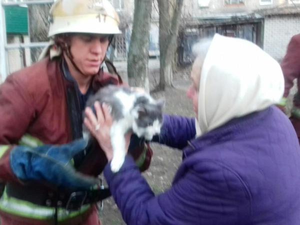 Новина На Кіровоградщині бійці ДСНС допомогли врятувати двох котів Ранкове місто. Кропивницький