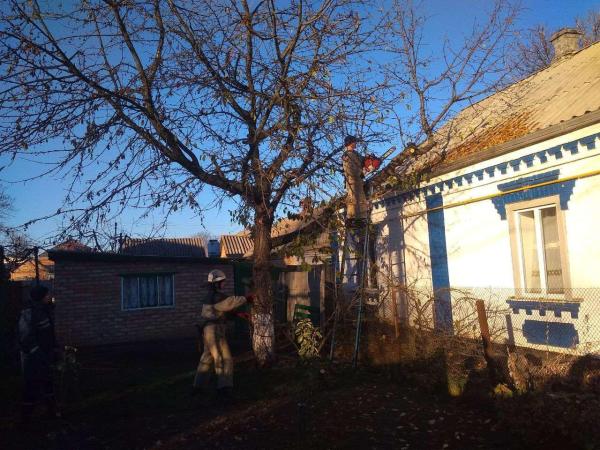 Новина У Новомиргороді рятувальники спиляли аварійну гілку, що загрожувала даху приватного будинку Ранкове місто. Кропивницький