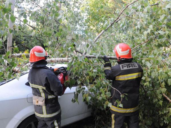 Новина Сильний вітер на Кіровоградщині додав роботи рятувальникам (ФОТО) Ранкове місто. Кропивницький